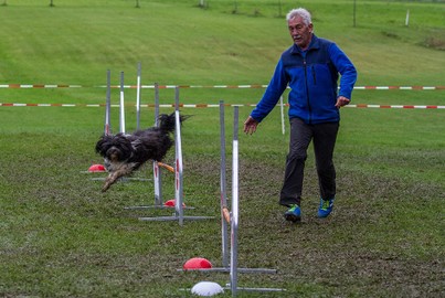 Hundesportverein Rankweil /Sektion Agility