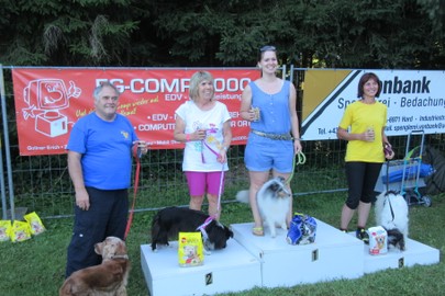 Sektion Agility: Hörbranz Dämmersprung 16.7./Ländle CUP 17.7.2016