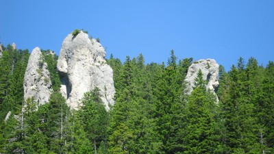 DSC01852.JPG