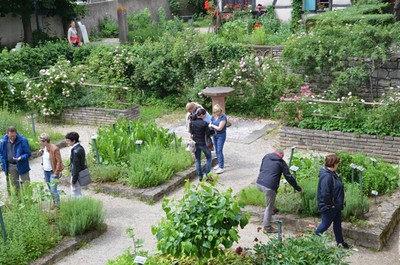 DSC_1304.JPG