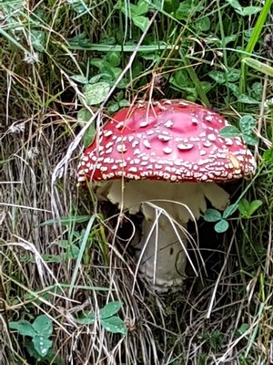 20170909_112434.jpg