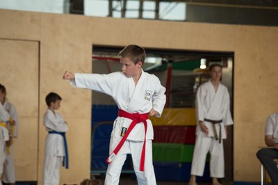 IMG_5259_Karate_VM_2016.jpg