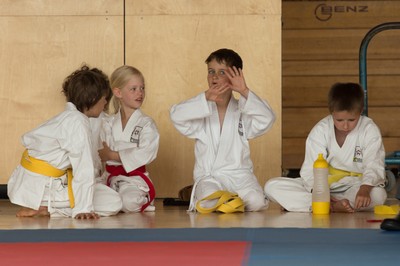 IMG_5310_Karate_VM_2016.jpg