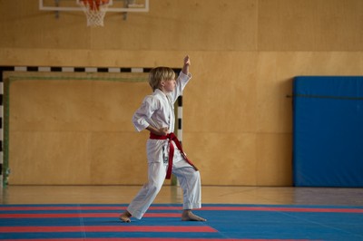 IMG_5455_Karate_VM_2016.jpg
