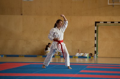 IMG_5507_Karate_VM_2016.jpg