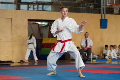 IMG_5586_Karate_VM_2016.jpg