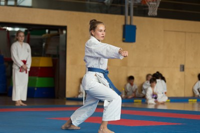 IMG_5621_Karate_VM_2016.jpg