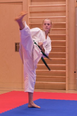 Karateprüfung 01.06.17-6684.jpg