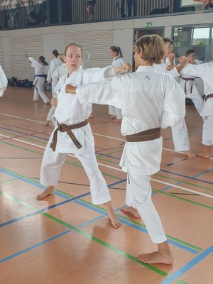 B3.JPG