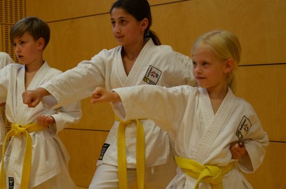 Raiffeisen Karateclub Rankweil