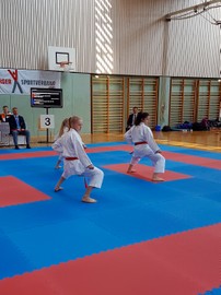 Raiffeisen Karateclub Rankweil