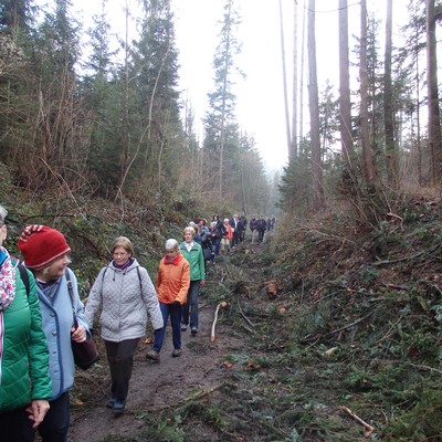 Adventwanderung 2015