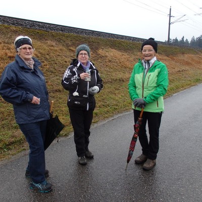 Wanderung am 9.1.2016