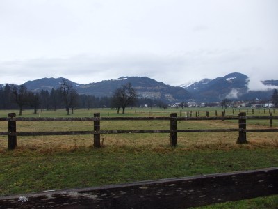 P1090228.JPG