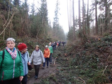 Adventwanderung am 5.12.2015