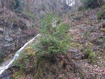 Adventwanderung mit Christbaumfeier