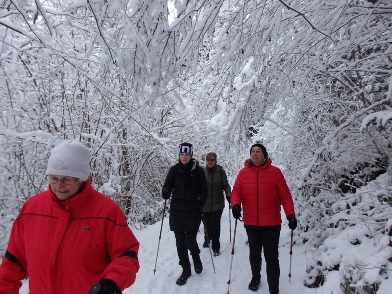 Wandergruppe im tief verschneiten Wald