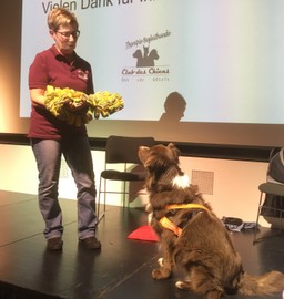 Therapiehunde auf Besuch bei der Generalversammlung des Krankenpflegevereins