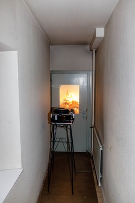20200802 (25).jpg