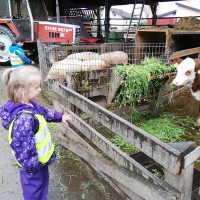 Besuch beim Lisili´s Biohof