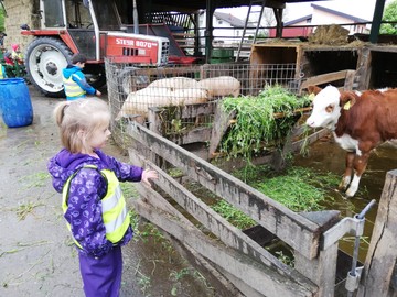 Besuch beim Lisili´s Biohof