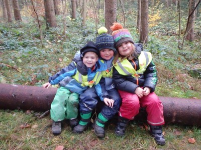 9 wald (2).JPG