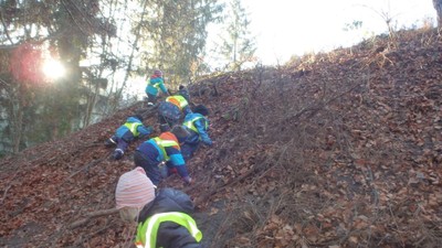 9 wald (3).JPG
