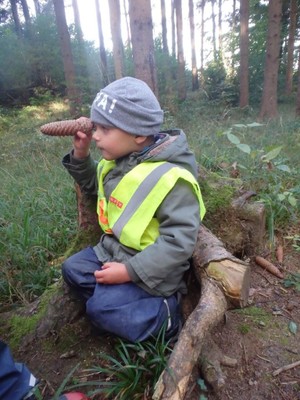 9 wald (9).JPG