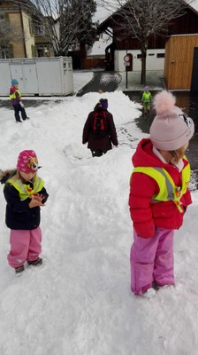 IMG_20171201_103349[1].jpg