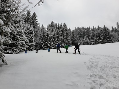 20190302_095512.jpg