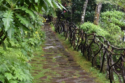 7 Ribeiro Frio.jpg