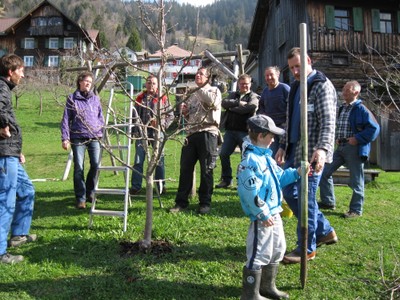 Baumschnitt.jpg