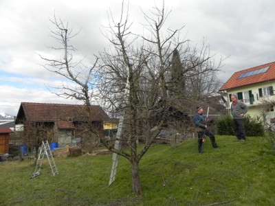 DSCN3412.JPG