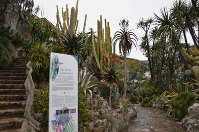 11 Exotischer Garten.jpg