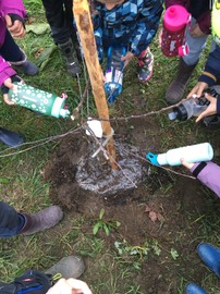 Baumpflanzaktion an den Volksschulen in Rankweil