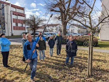 Baumschnittkurs in Theorie und Praxis