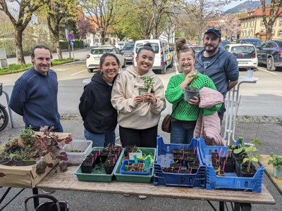 Frühlingsangebote vom Obst- und Gartenbauverein Frühlingsangebote vom Obst- und Gartenbauverein