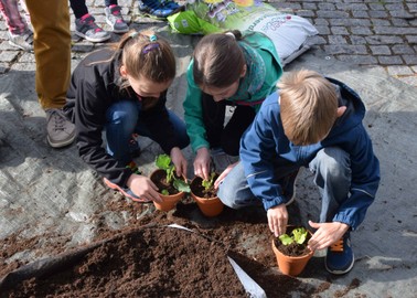 Gratis Eintrittskarten für die Dornbirner Frühjahrsmesse