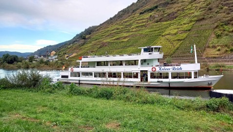 Herbst an der Mosel