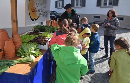 Kurse im Frühling