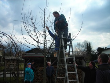 Obstbaumschnittkurs