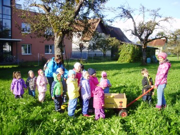 OGV startet wieder mit der Obstbörse – ein Beitrag zum Klimaschutz!