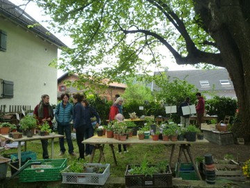 PflanzenTAUSCHmarkt