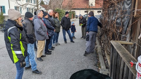 Rebenschnitt in Rankweil