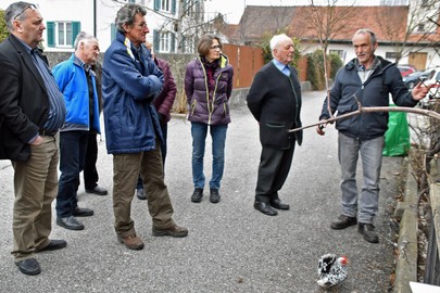 Rebschnitt im Mohrengarten
