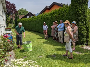 Rosenschnitt nach der Blüte