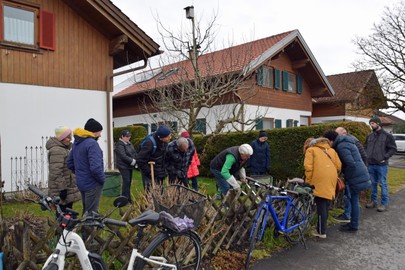 Rosenschnitt vom Fachmann Rudi Waibel