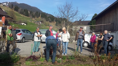 Rosenschnittkurs in Laterns