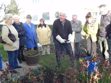 Rosenschnittkurs in Laterns