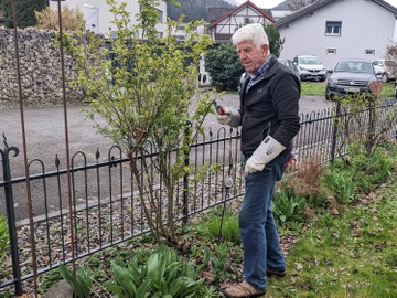 Rosenschnittkurs in Rankweil